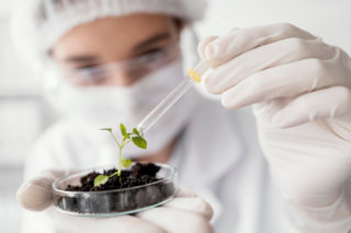 piante in laboratorio, nuove tecniche genomiche in agricoltura